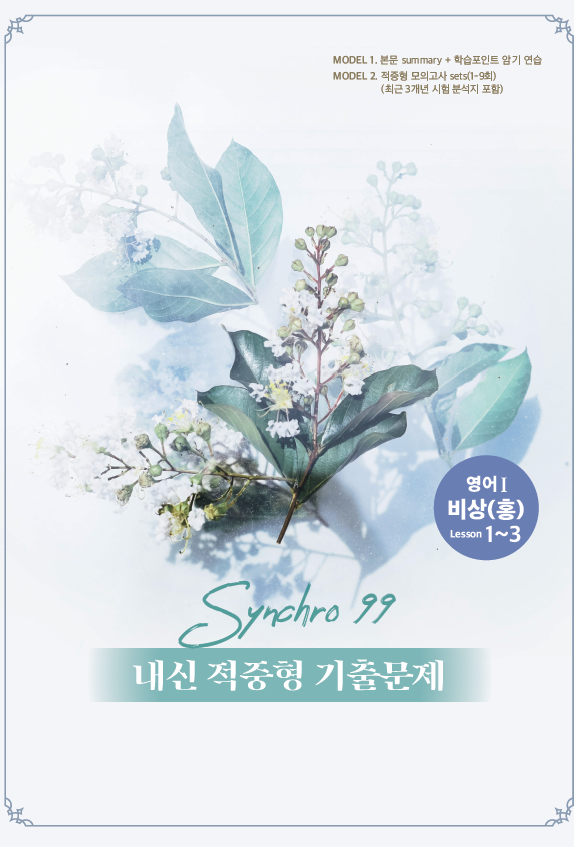 내신대비 적중 synchro99 영어 비상(홍) lesson1-3