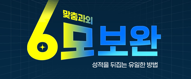 6모보완 맞춤과외